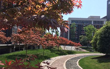 中安檢測(cè)公司綠化環(huán)境